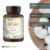 Lion's Mane Mushroom Hericium erinaceus (2,000mg) 120 Vegan Capsules - Image 2